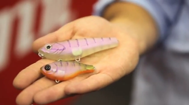 The 2013 snapper season in South Australia is closed from November 1 through until December 15. Image: Jamie Crawford